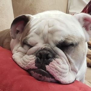 Meet your Posher, Cheryl